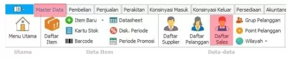 Input Data Sales